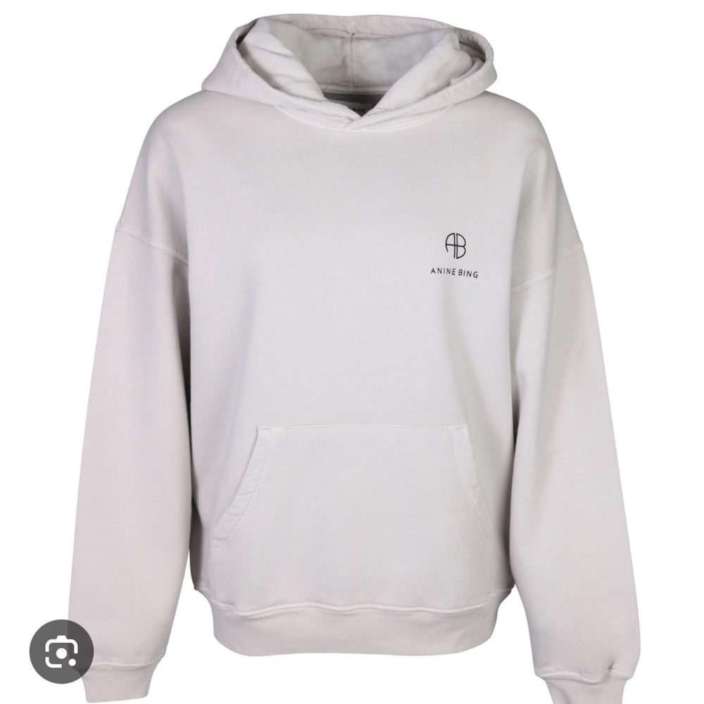 Anine Bing oversized, distressed ‘Aiden’ Hoodie in color stone.